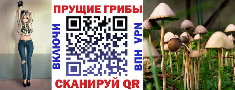 Псилоцибиновые грибы Psilocybe  цены наркотик  Чапаевск 